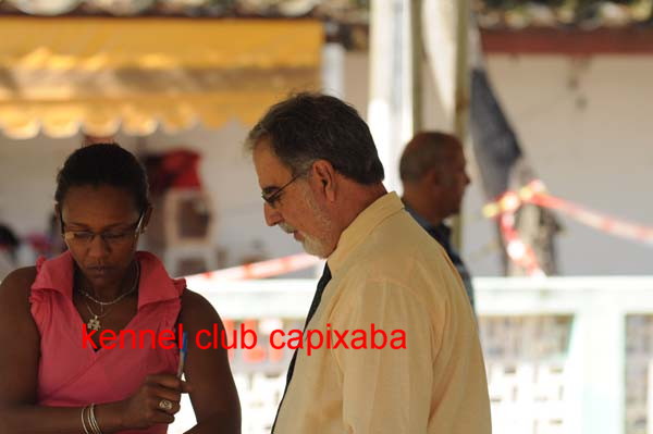 Clique sobre a foto para fechar